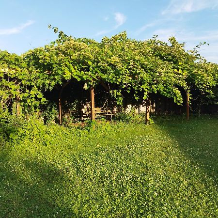 River Side - Cosy - Lot Of Space Huningue Exterior foto